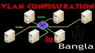 VLAN and Trunks Configuration In Bangla  Step By Step