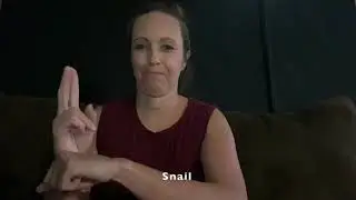 Bug Signs