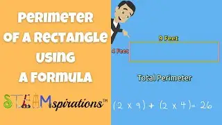 How do You Find the Perimeter of a Rectangle Using a Formula? | #steamspirations #steamspiration
