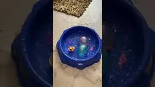 #beybladefun #beyblade #beybladeburstturbo #beybladeburstevolution #balloonburst #takai