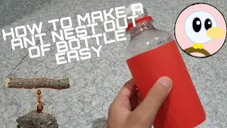 HOW TO MAKE AN ANT NEST FOR YOUR QUEEN ANT! (WITH BOTTLE) 🐜👑😱