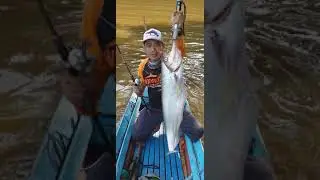 Strike lais tabiring 3kg up mantaapppzzz....