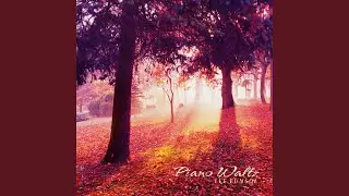 A Light Walk