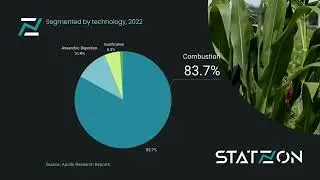 Global Biomass Market Share by Technology