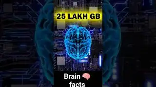 HUMAN BRAIN STORAGE FACTS