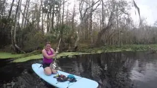 Jungle Paddle
