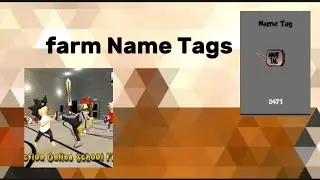 The path to lvl 100, Farm tags, School of chaos