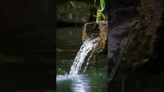 M&Uacute;SICA RELAXANTE 0094 #shorts #peace #paz #mantra #relax  #zen #relaxing #meditation #reflex&atilde;o #yoga