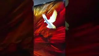 Chris Derubies unique &ldquo;Dove&rdquo; 16x36