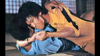 Bruce lee fazia Jiu jitsu ?