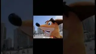 Crash curtindo o ver&atilde;o? 🤔 #gaming #crash #curiosidades #viagem #documentary #documentario #games #fy