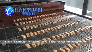 Chocolate Coating Machine Chocolate Enrobing Machine Chocolate Coating Equipment #chocolatemachine