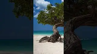 Top 5 Most Beautiful Beaches in the Caribbean