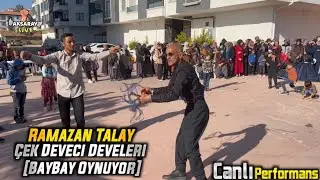Ramazan Talay Çek Deveci Develeri (Baybay Sahnede)