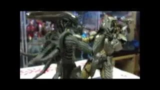 Hot Toys AVP Scar Predator with Alien Warrior