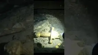 Who Dropped This Sword Here? The Mystery of the Sunken Battle ⚔️