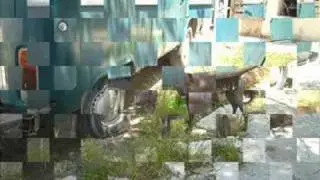 perro mexicano en el caribe