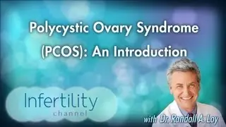 Polycystic Ovary Syndrome (PCOS): An Introduction