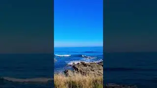 Guvvos Beach 🌊  #victoria #australia #greatoceanroad 🏖️️