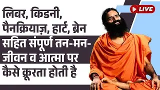 लिवर, किडनी, पैनक्रियाज़, हार्ट, ब्रेन सहित संपूर्ण तन-मन-जीवन व आत्मा पर कैसे क्रूरता होती है