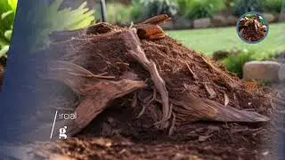 Tree Mulching Services in Brisbane &ndash; ABC Tree Lopping Brisbane