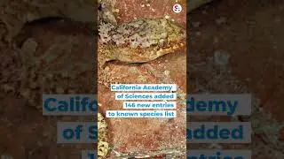 #Science discoveries: #Hundreds of new #plants, #animals, #fungi now known
