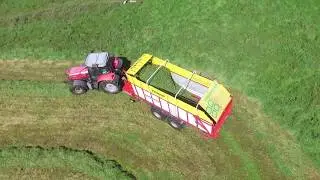 second cut silage 2018, The old masseys back at it again