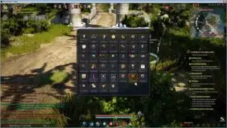 How to Mute or Turn Off Black Spirit Notifications | Black Desert Online BDO