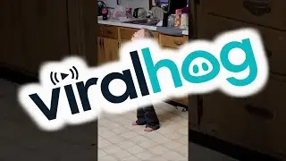 Tired Three-Year-Old Falls Asleep Standing Up || ViralHog