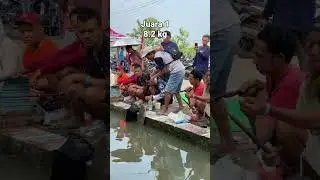 lomba mancing banyak dapat ikan babon