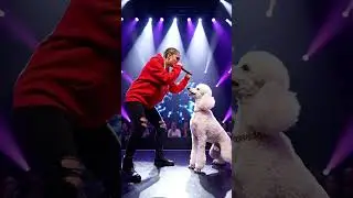 Rap battle with my dog #hiphop #rap