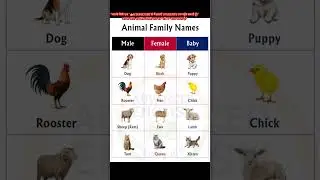 Daily Learning: Use Advanced English Daily | Confident Speaking Secrets of Smart People #shorts