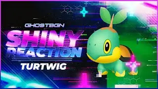 Our last Platinum Shiny Starter has arrived Shiny Turtwig