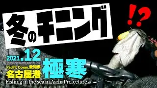 【チニング】極寒の名古屋港で寒チヌを狙う！冬場に狙えるルアーターゲット。