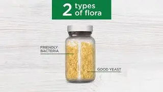 All Flora Probiotics by New Chapter