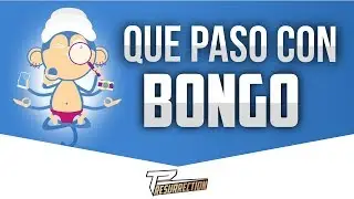 Y al final &iquest;Que paso con Bongo? Le escrib&iacute; a Ask a Bongo y esto fue lo que me respondi&oacute;