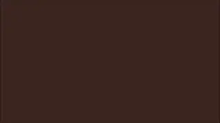 Woodsy Brown | color screen relaxation | 10 hours
