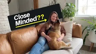 Are Force Free Dog Trainers Close-Minded? (My opinion)