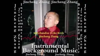 Jincheng Zhang - Meteorology I Like Birds (Official Instrumental Background Music)