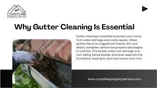 Professional Moss Removal Courtenay for Long-Lasting Roof Protection