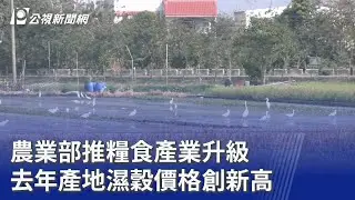 農業部推糧食產業升級 去年產地濕穀價格創新高｜20260203 公視晚間新聞