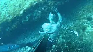 pescasub: sarago in tana vs Marc Valentin 75
