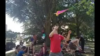 Starflyers