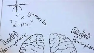 Roger Sperry's Split Brain Experiment