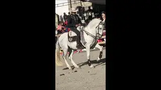 ESPECTACULO CABALLO ESPAÑOL |#ecuador  #chagras #toros #horse #caballos #español