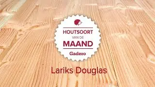 Houtsoort van de maand - Lariks Douglas hout
