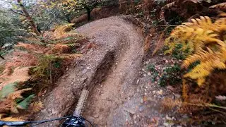 Dyfi Bike Park - Turns in the Ferns