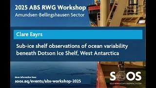 SOOS ABS RWG Workshop 2025: 