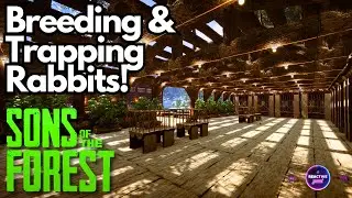 Creating an Outdoor Rabbit Enclosure & Experimenting with Breeding & Traps! | Sons of the Forest