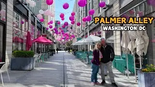 Palmer Alley Washington DC 🎈CityCenterDC 🎁 Chinatown 🍝 Washington DC Tour 📸